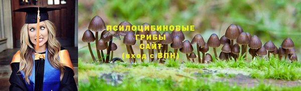 трава Заводоуковск