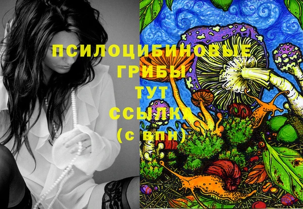 трава Заводоуковск