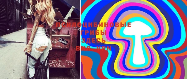трава Заводоуковск