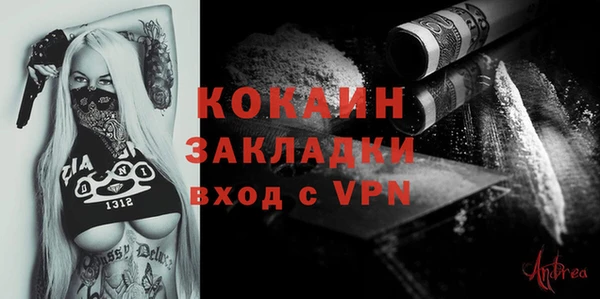 альфа пвп Елизово